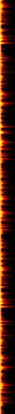 fireline